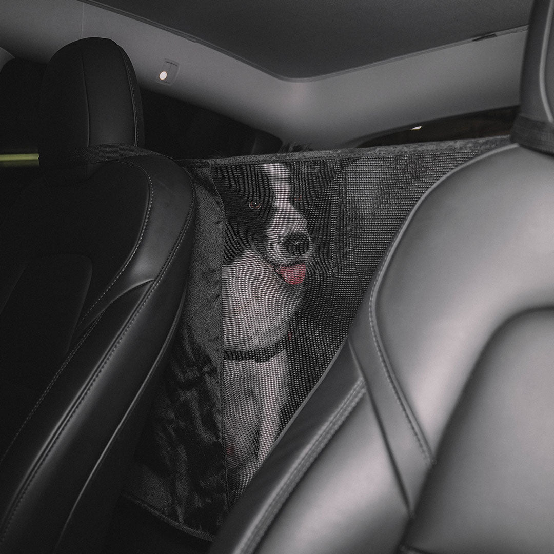 Model Y/3/S Pet Liner