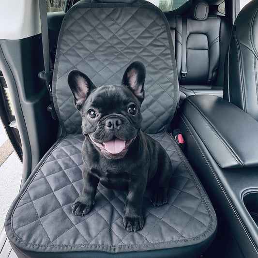 Model 3/Y Passenger Seat Cover