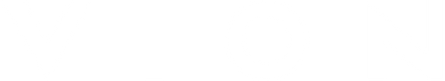 VION logo