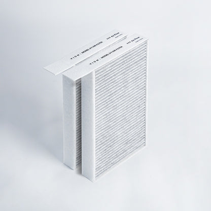 Filtros de aire de carbón activado HEPA modelo 3/Y